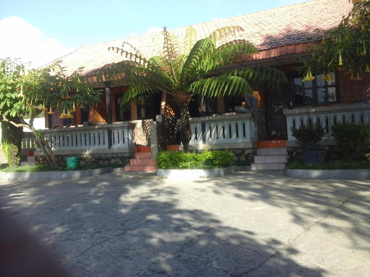 Cemara Indah Hotel Μπρόμο Εξωτερικό φωτογραφία