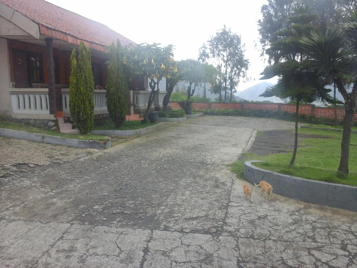 Cemara Indah Hotel Μπρόμο Εξωτερικό φωτογραφία